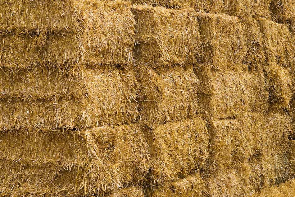 Premium Hay from Vista Point Farm